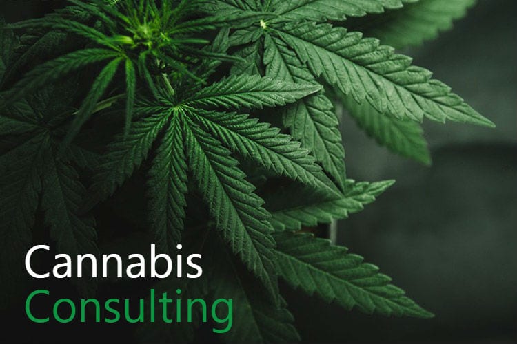 Green Belt Strategies Cannabis Consulting Firm