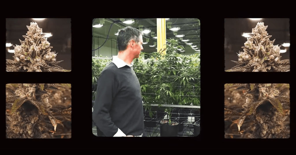 Deep Roots Episode 1 with Cameron Bravmann Green Man Cannabis