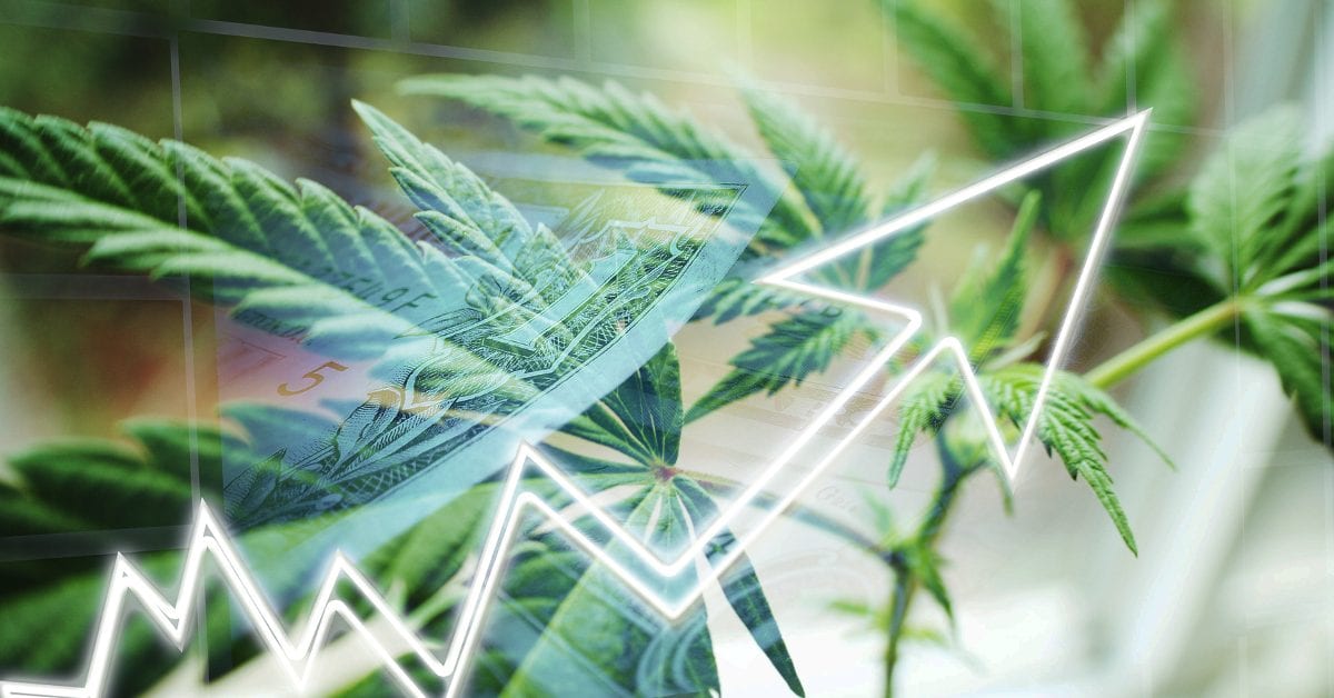 Globally, The Cannabis Industry is Becoming Normalized Legal Cannabis Trends