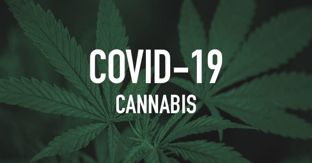 strong cannabis may be an effective treatment for coronavirus covid-19
