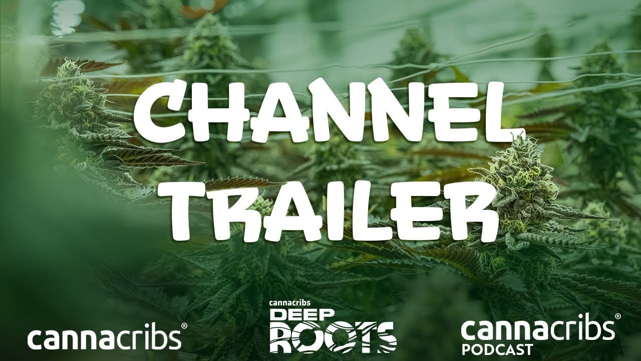 cannacribs deep roots podcast channel trailer