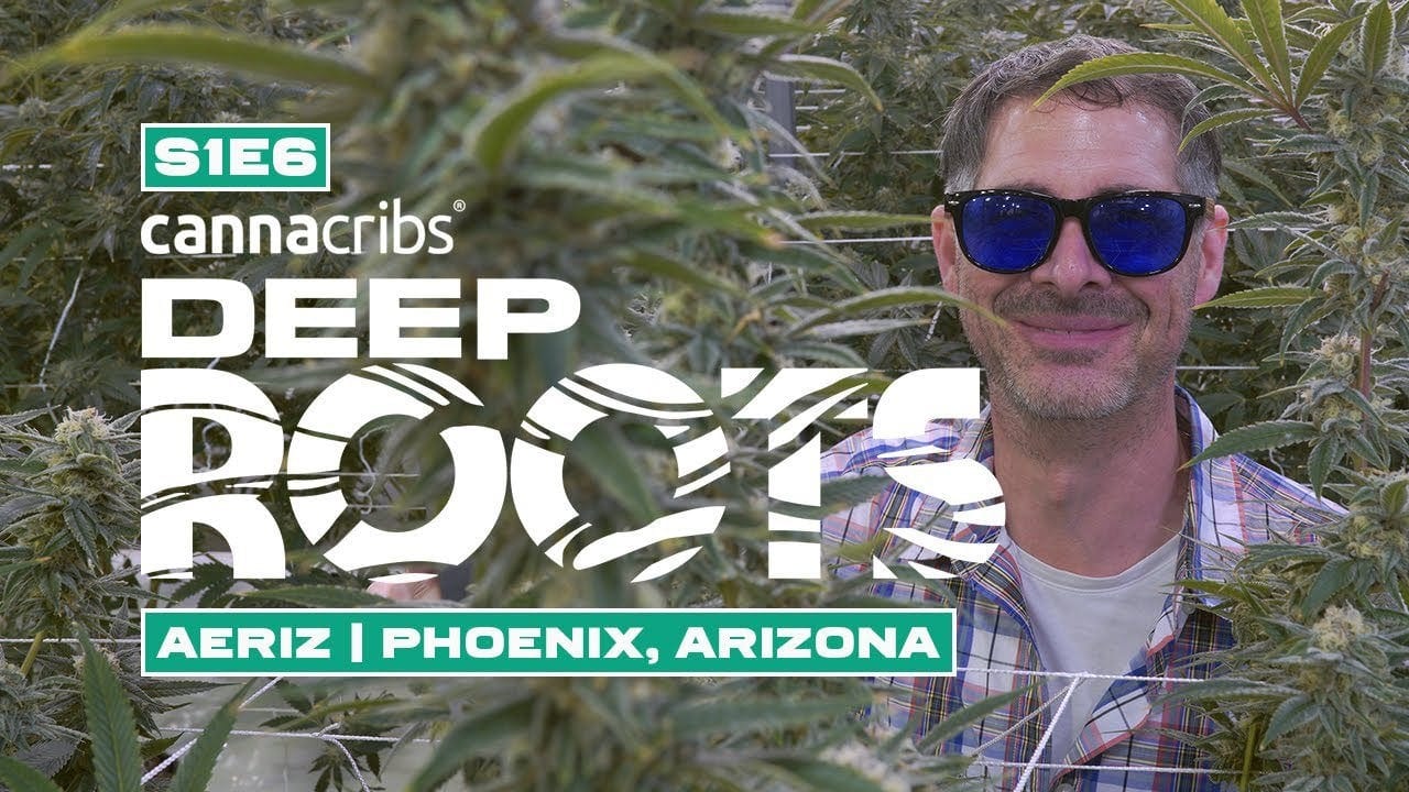 Cannacribs Season 1 Episode 6 Aeroponic grow in Phonex Arizona Prop 207