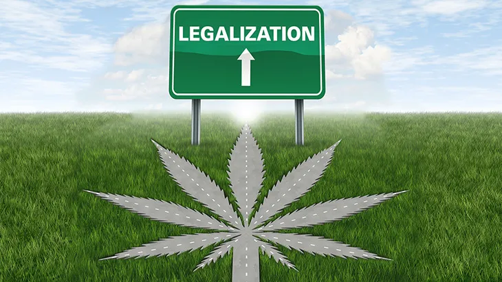 marijuana, the road to cannabis legalization
